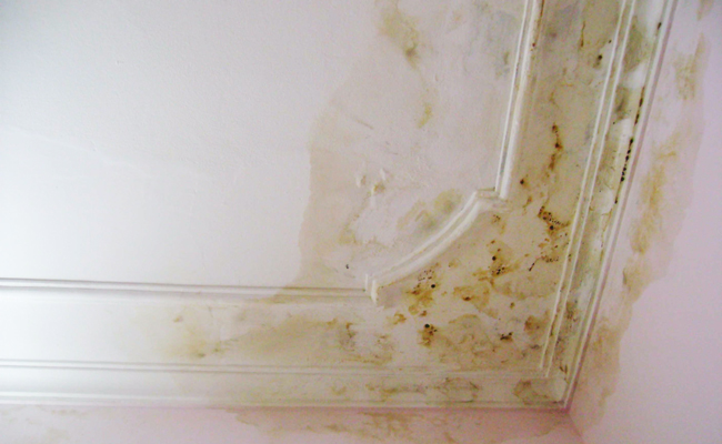 Nguyên nhân và cách chống thấm trần nhà bị nứt